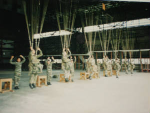 imgp0202.jpg