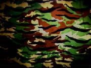 imgp0227.jpg